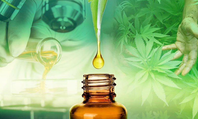 The Usefulness Of Medical Cannabis Oil - Know What You Don't