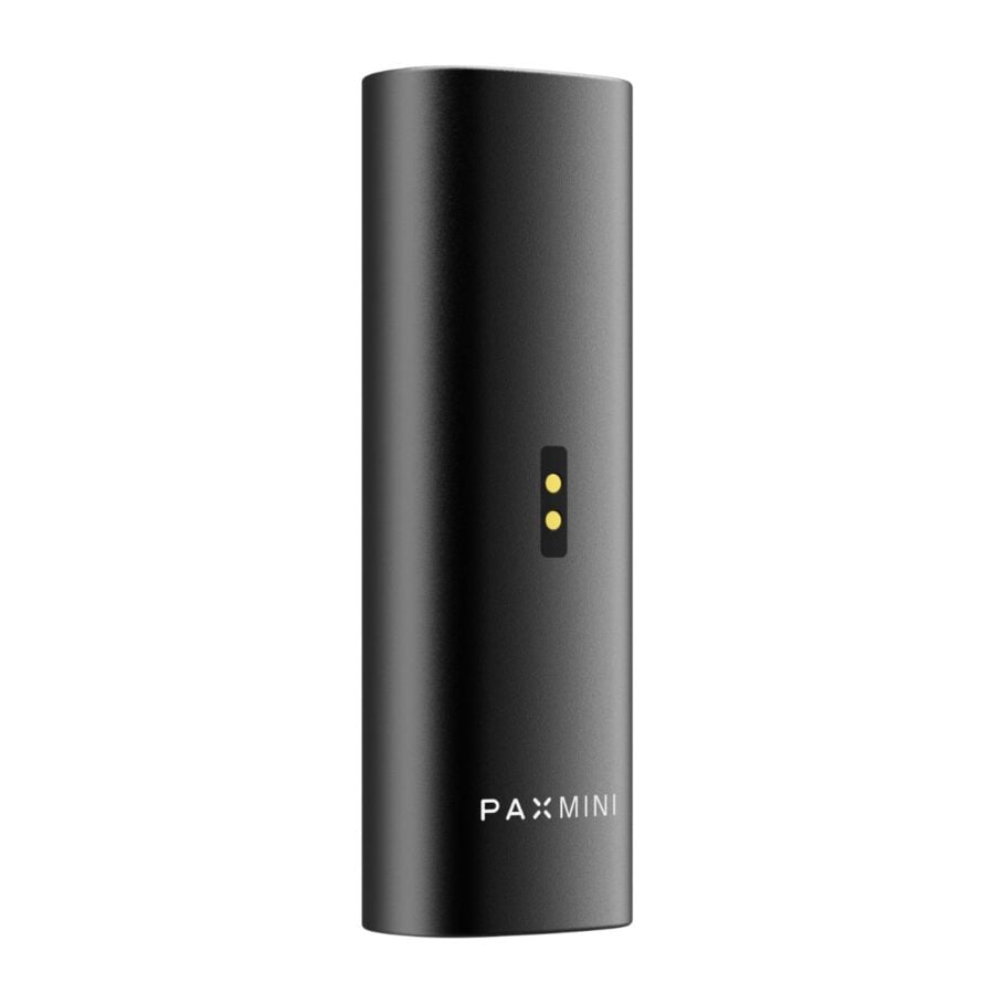 pax-mini-onyx-3-900x900-1